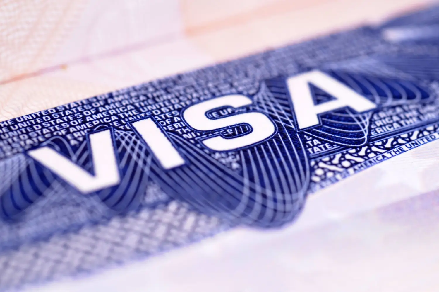 Visa image
